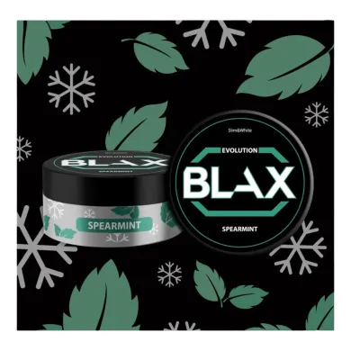 BLAX Evolution - Spearmint - Nicpack